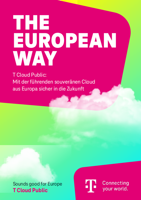 THE EUROPEAN WAY
